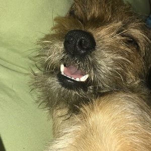 Meet your Posher, Imelda